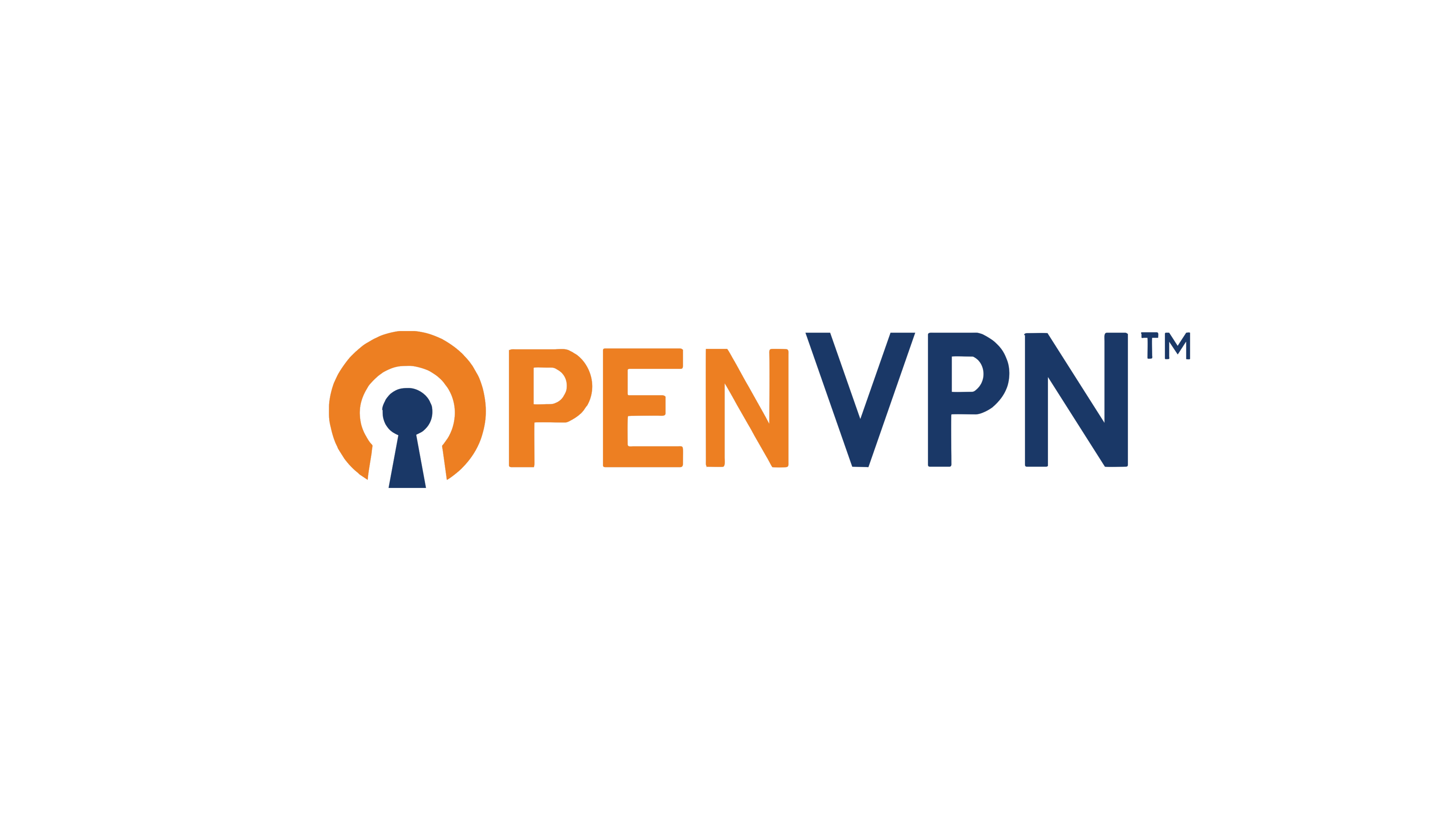 OpenVPN-logo (1)